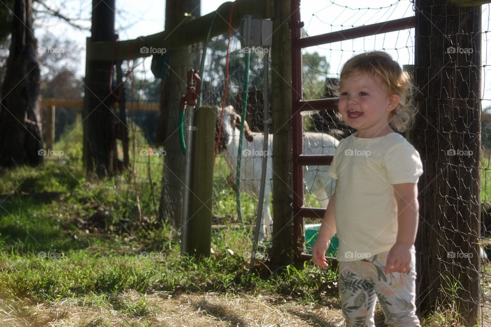 fun on the farm