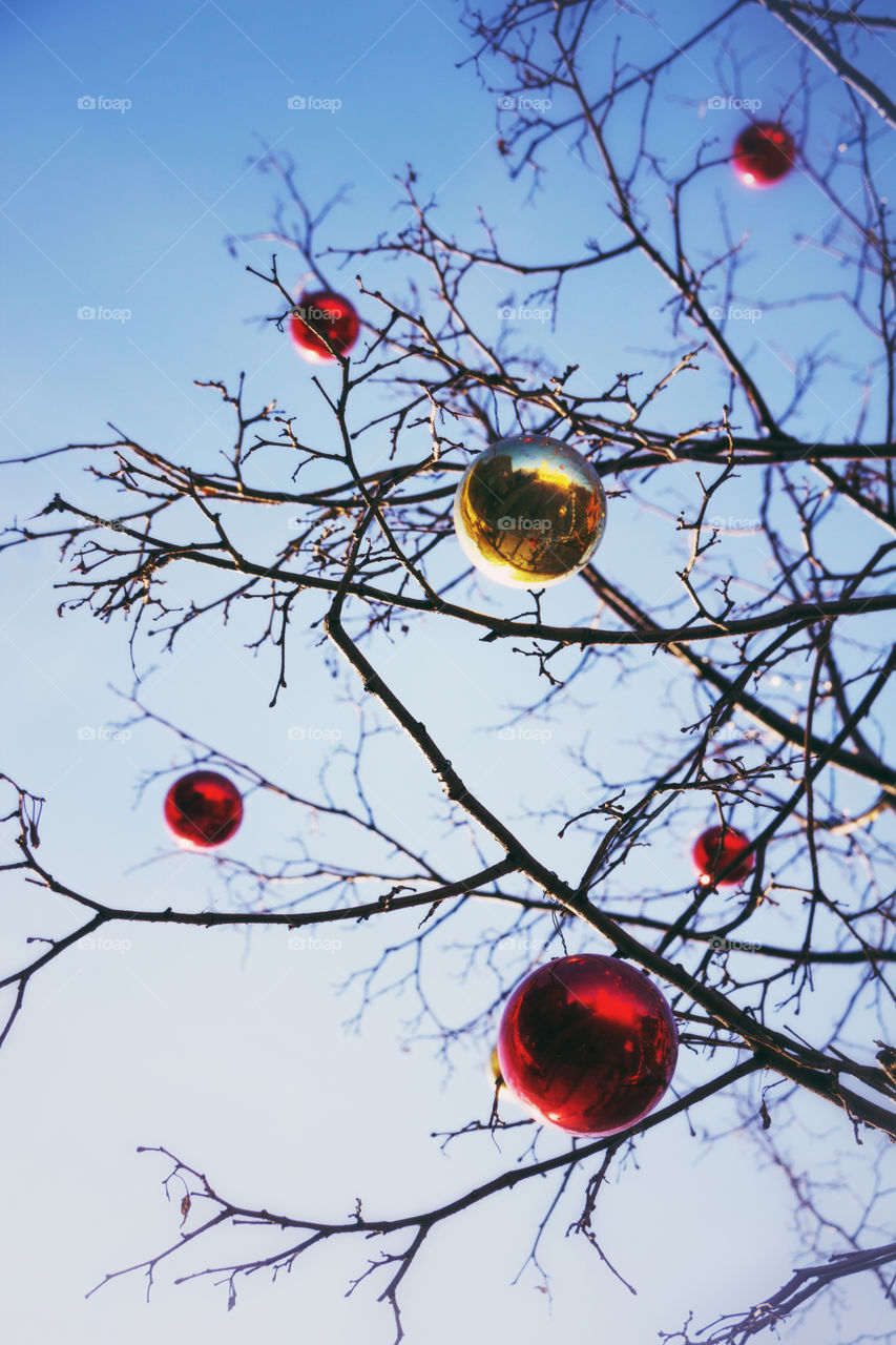 Bright christmas decorations on defoliated tree in Moscow, Russia