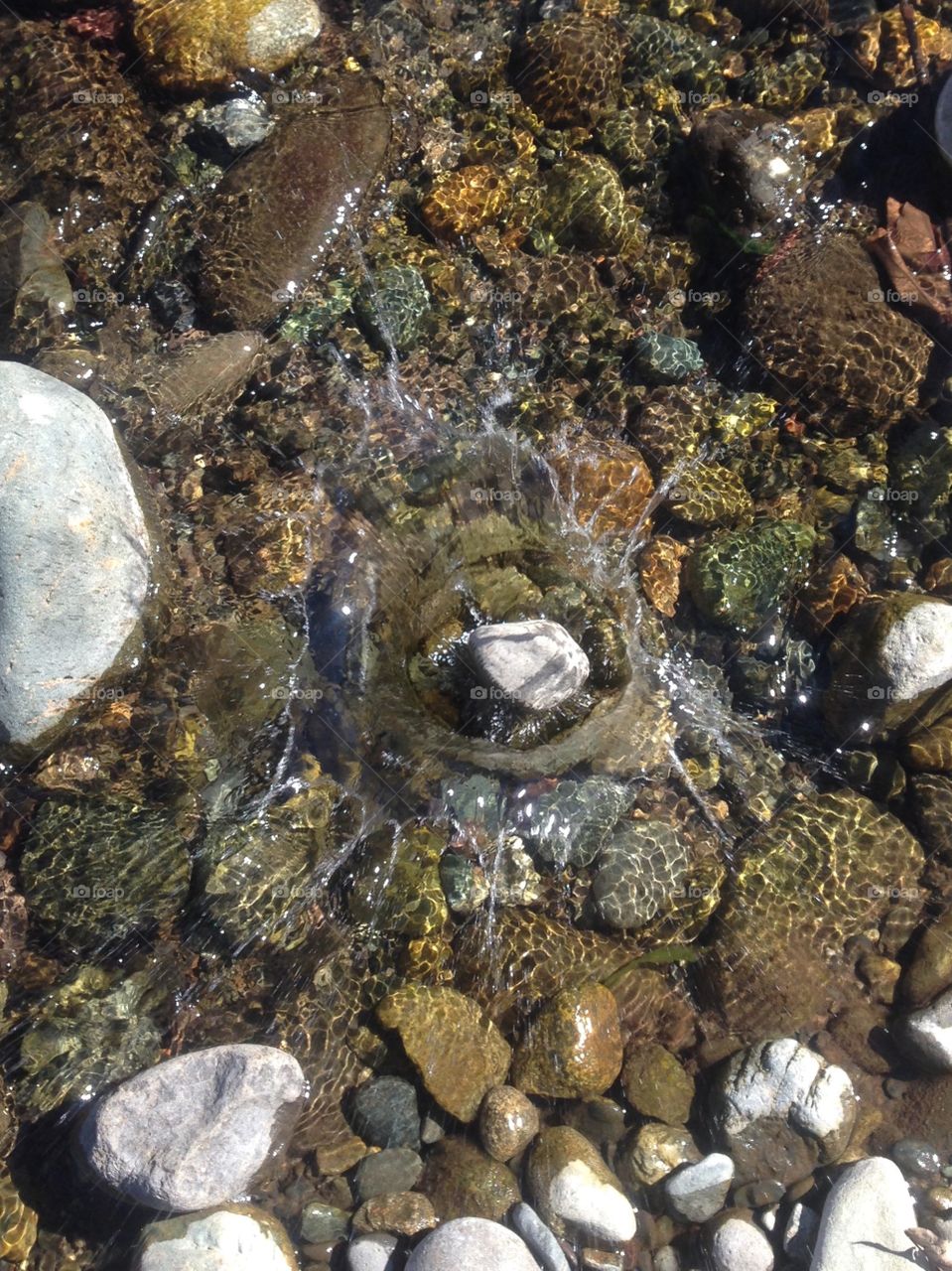 A rock making a splash and a photo taken at the perfect time. 