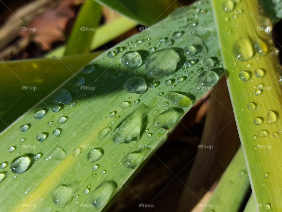 water droplets