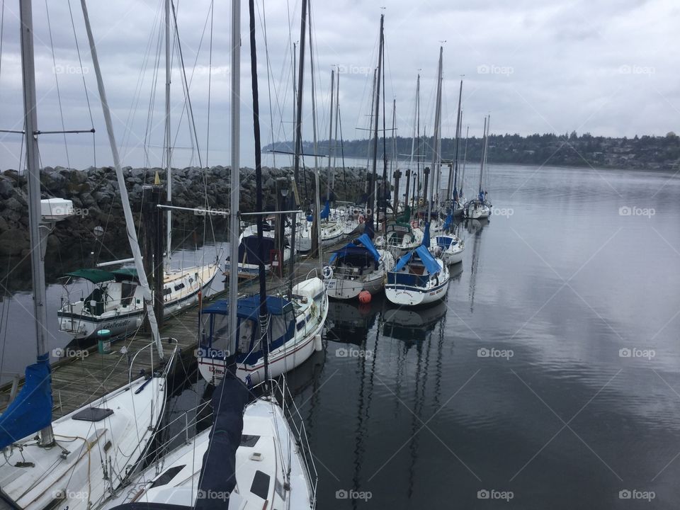 Harbour in White Rock