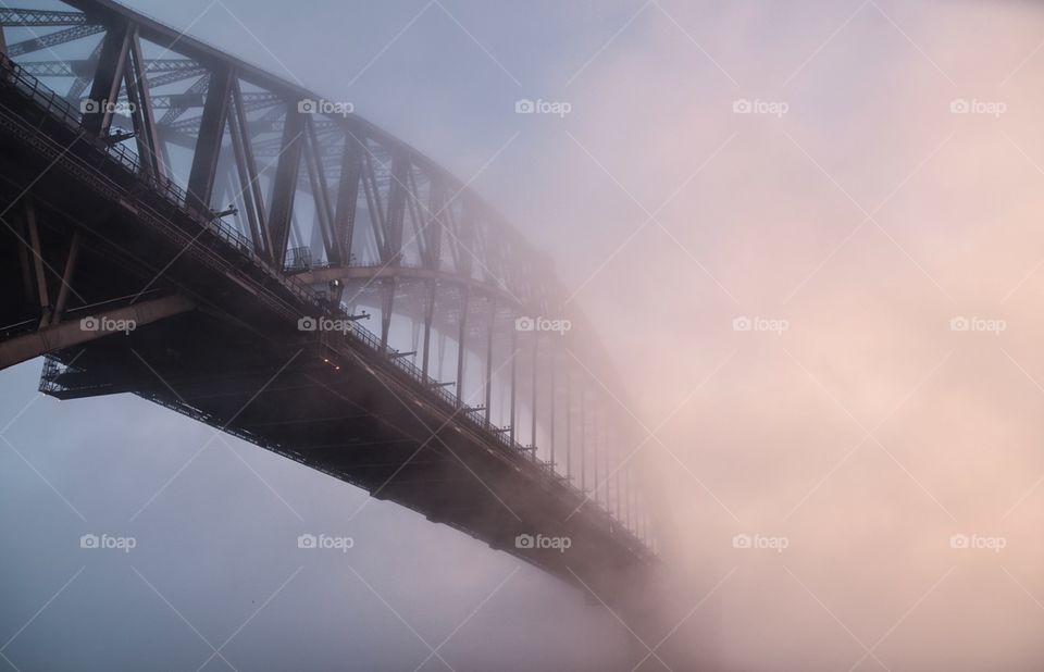 Sydney Fog
