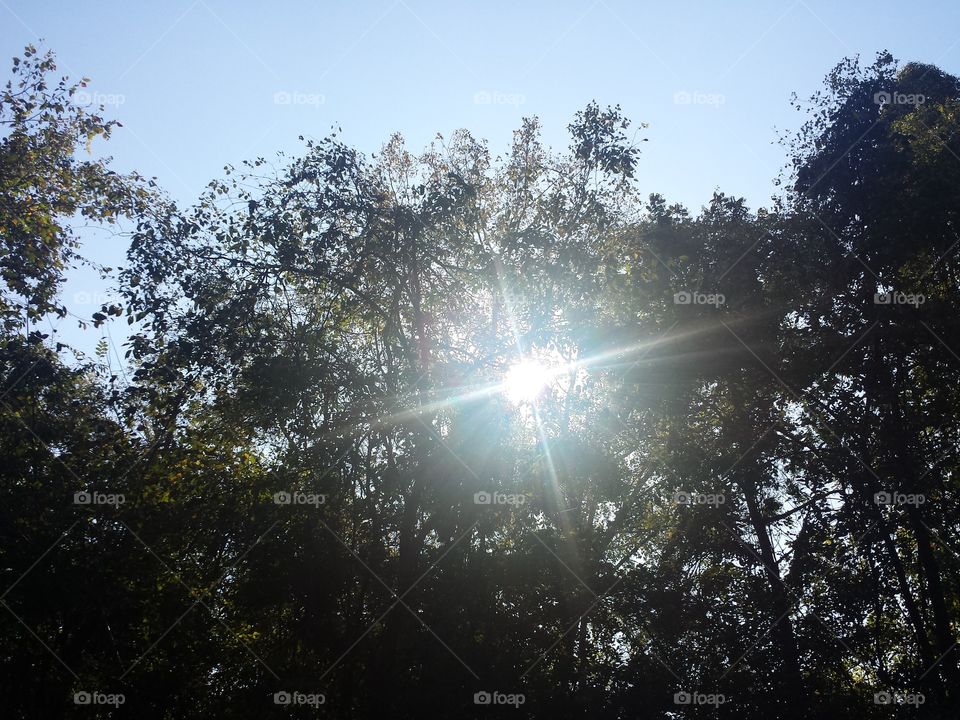 Blue Branch Creek Views