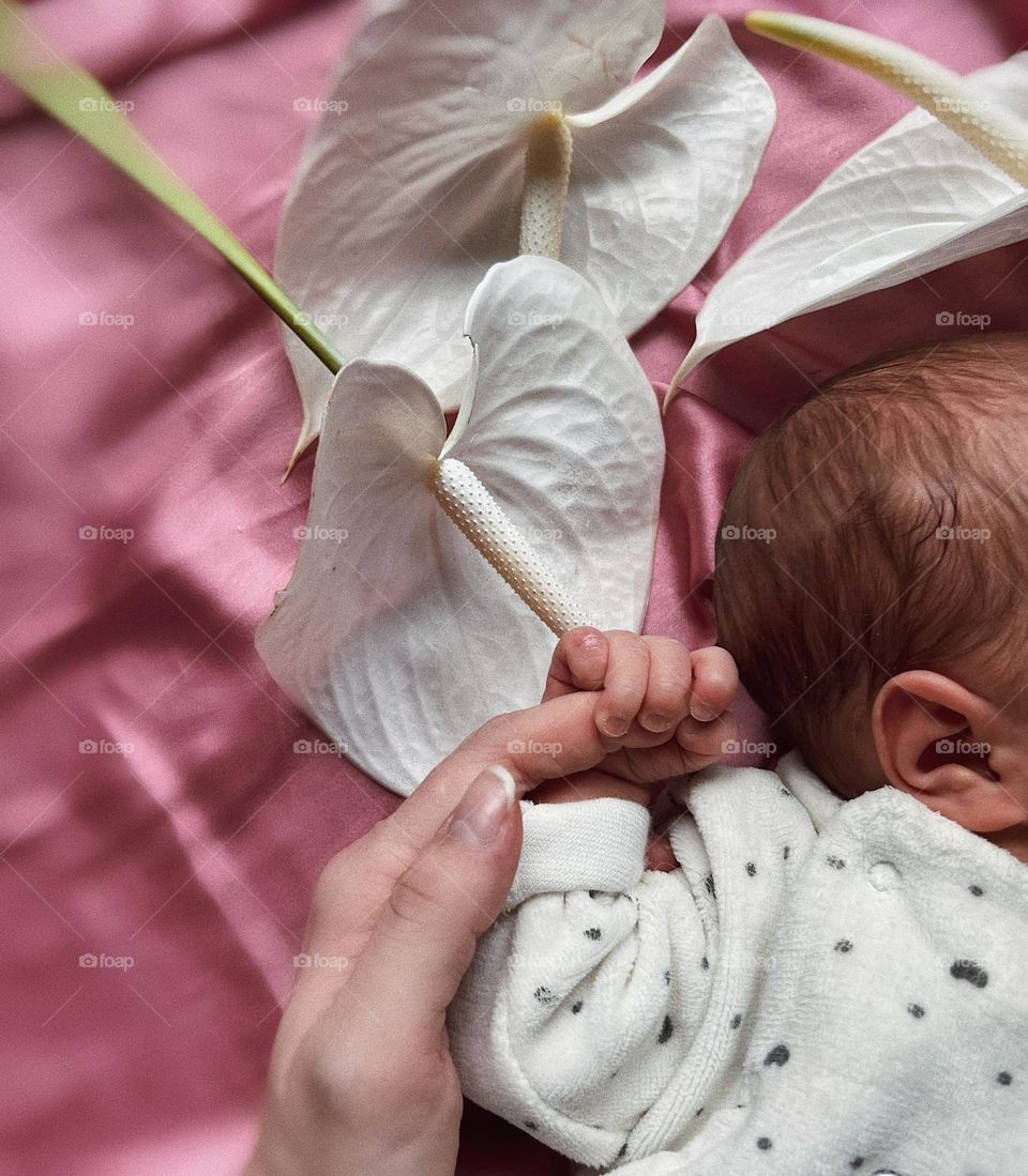 Baby’s hand with flowers 