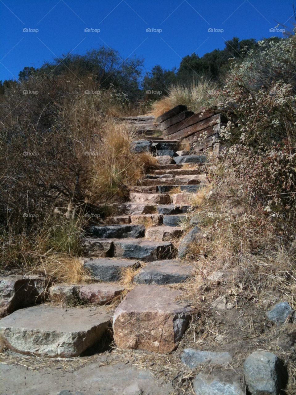 Hiking stairs 