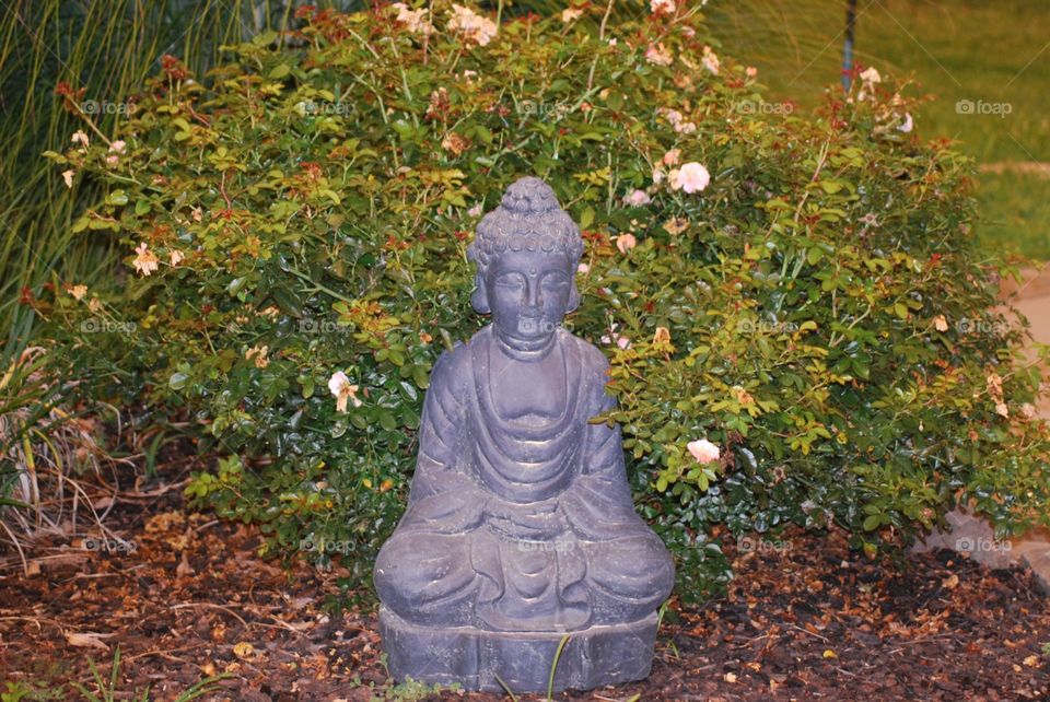 Buddha garden . Buddha statue in a flower bush 