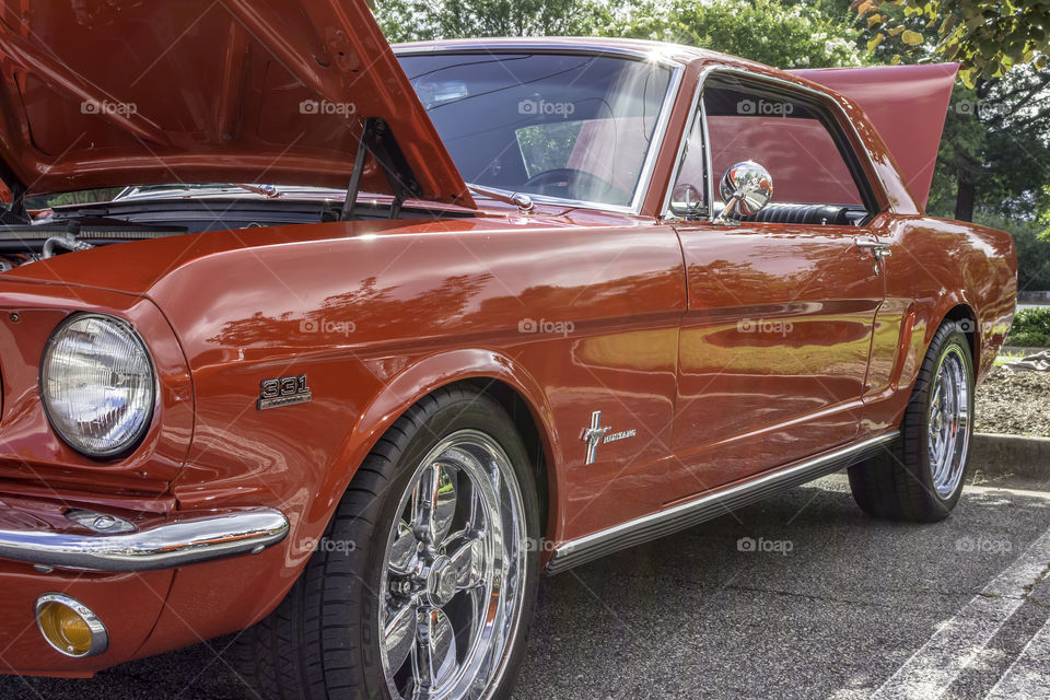 Red Ford Mustangs side view 