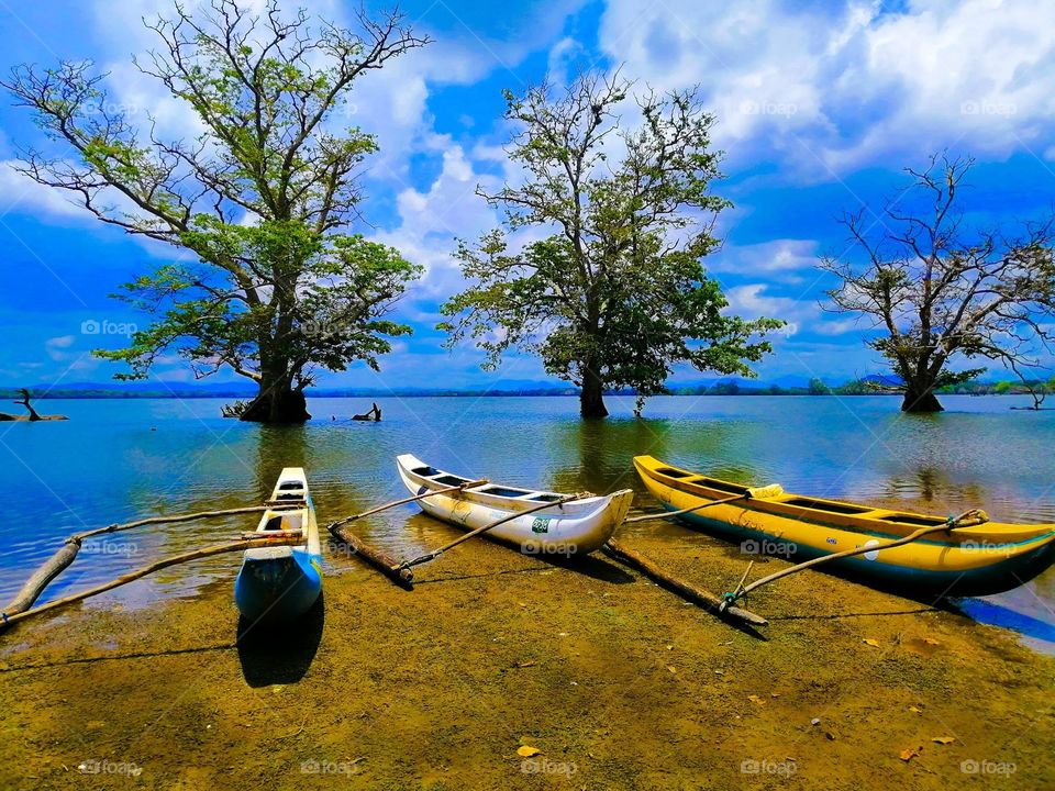The beauty of Sri Lanka