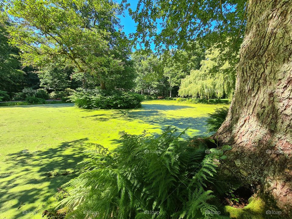 View in a castle garden