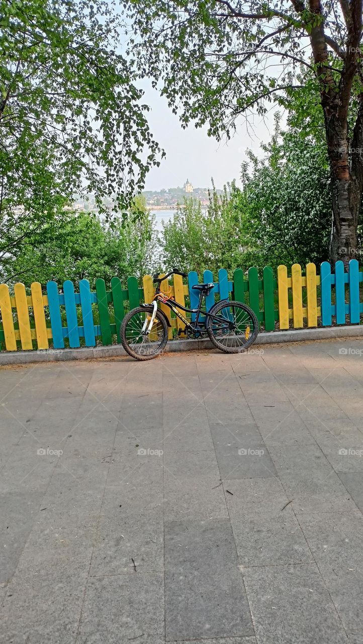 the bicycle stands at the fence, wooden fence, bicycle, two wheels, park, yellow, blue, green, trees, leaves, pond, May, warm, sunny day