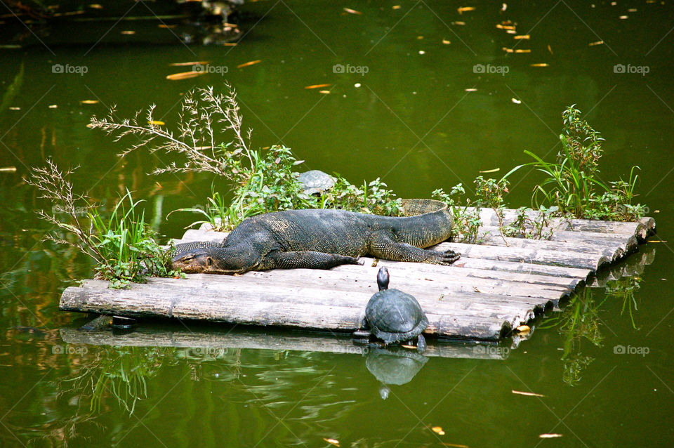 Be careful out there ...