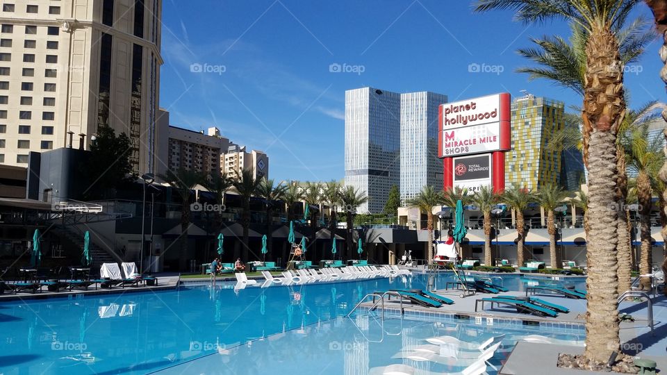 Hilton Grand Vacations Elara Las Vegas Pool