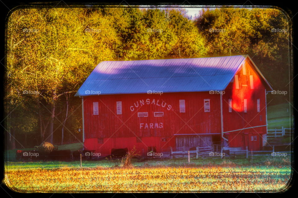 Red barn