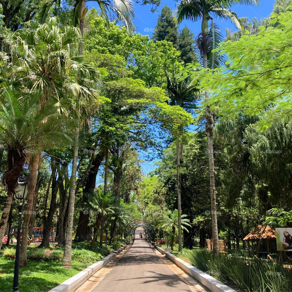 A beleza do Jardim Público, em Bragança Paulista. Todo esse azul e verde nos faz bem!

Por mais espaços assim em todos os lugares…