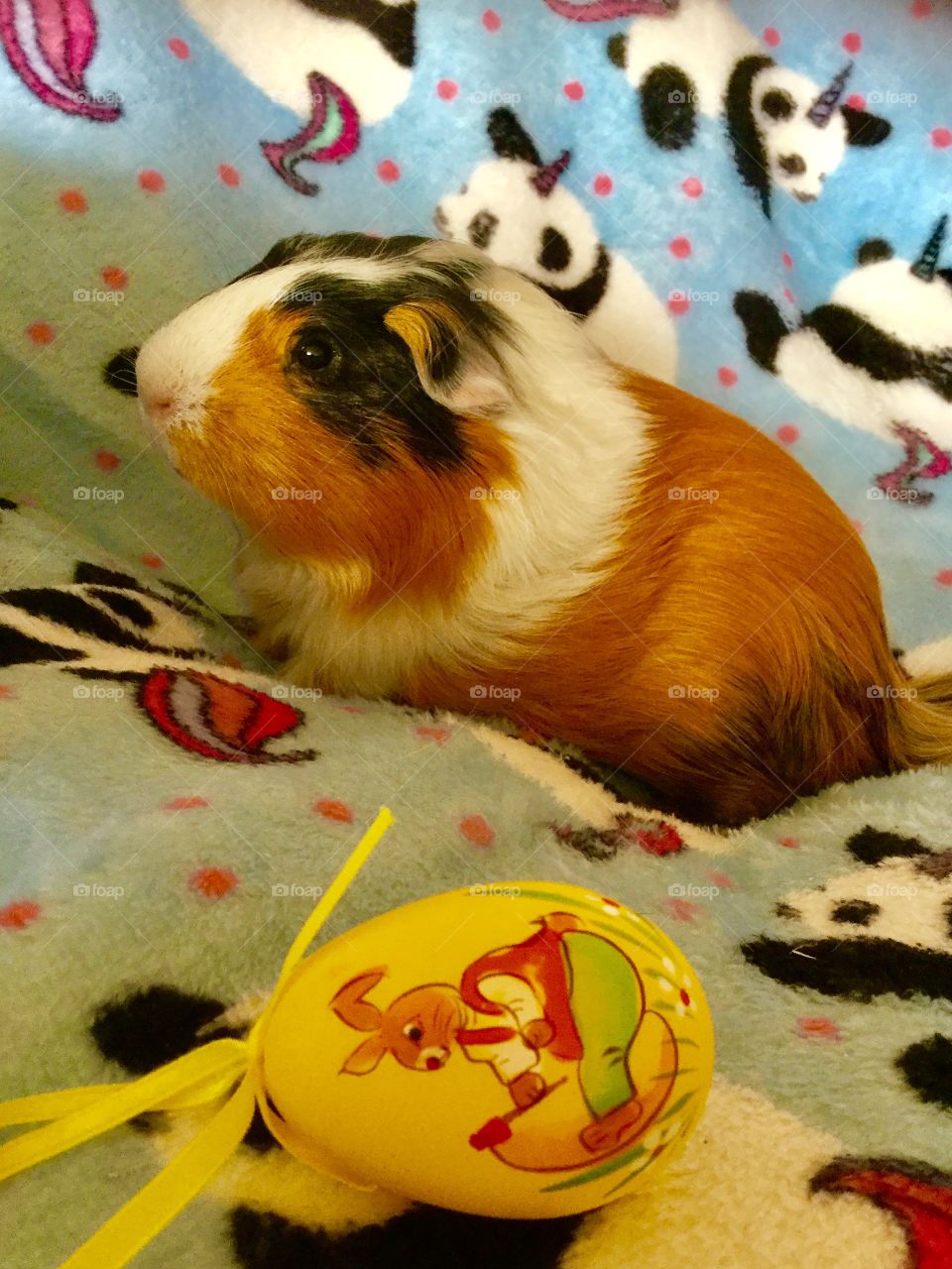 Celebrating Easter  Jonathan with his egg 