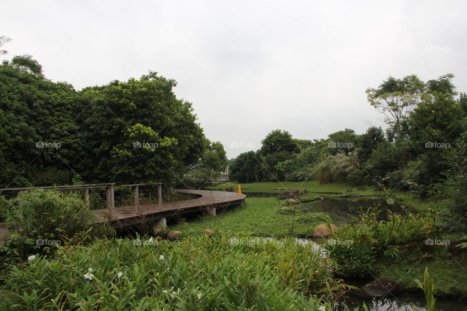 Urban View: Hong Kong