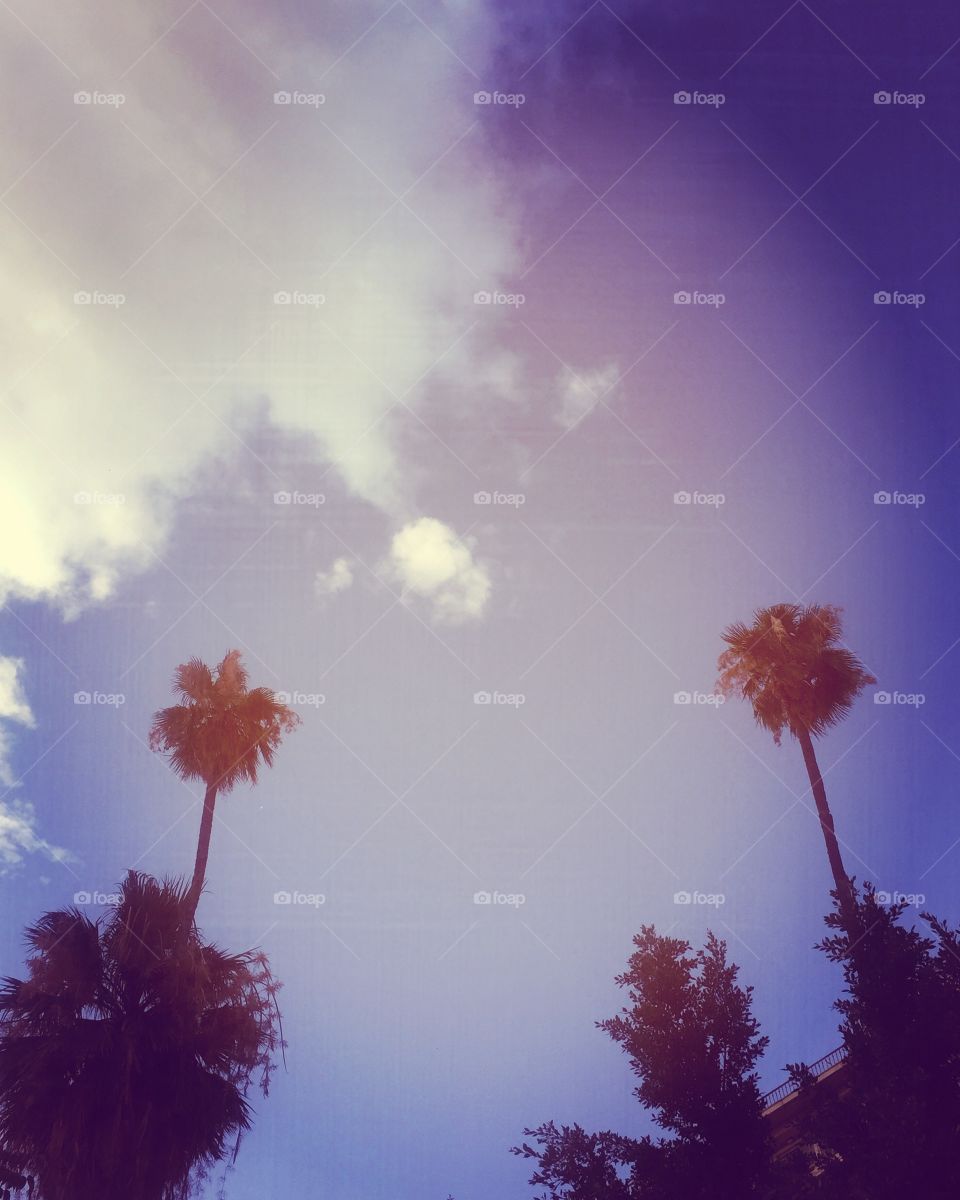 Palm trees and the blue Athenian sky