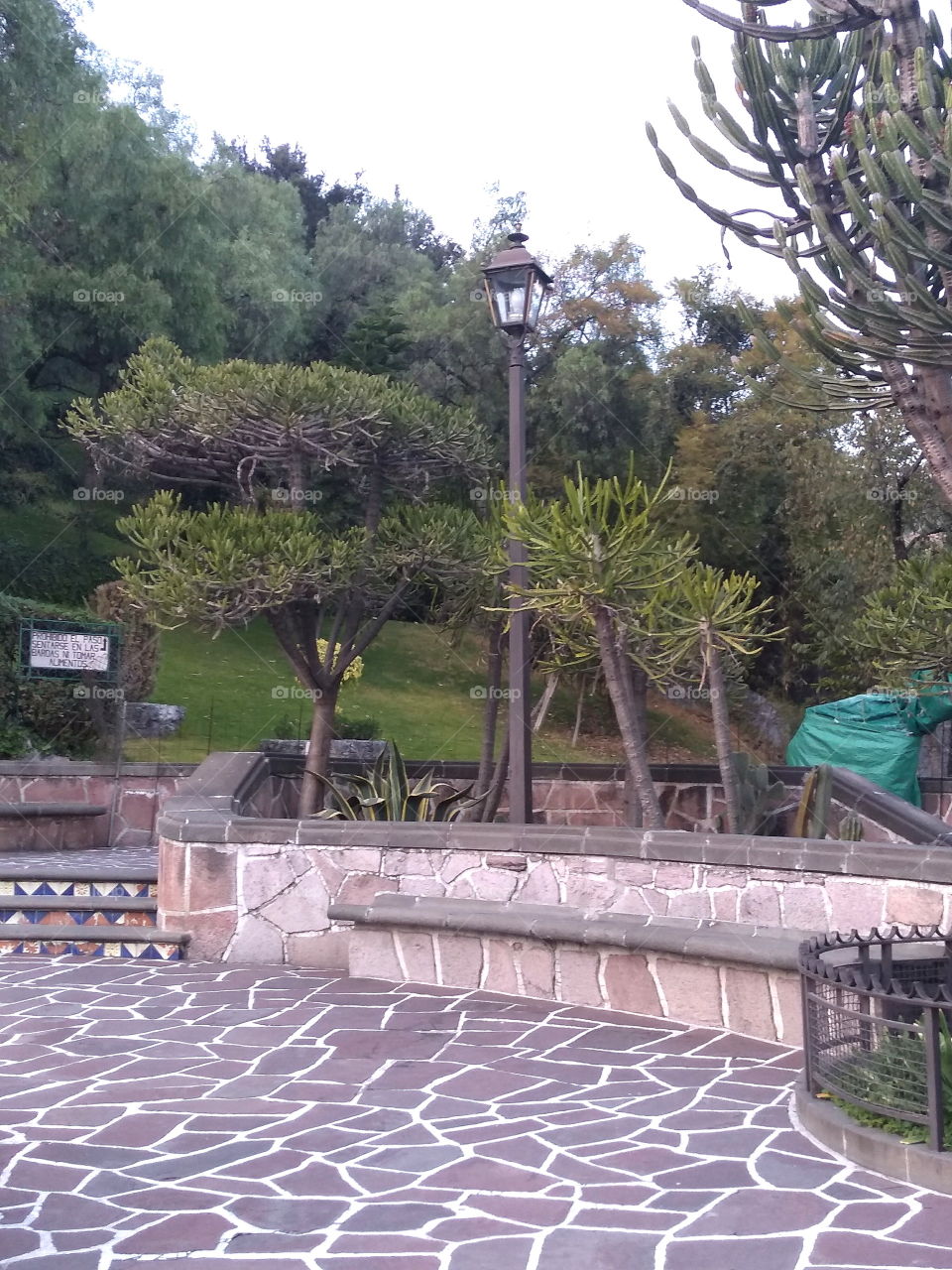 las lámparas del jardín.