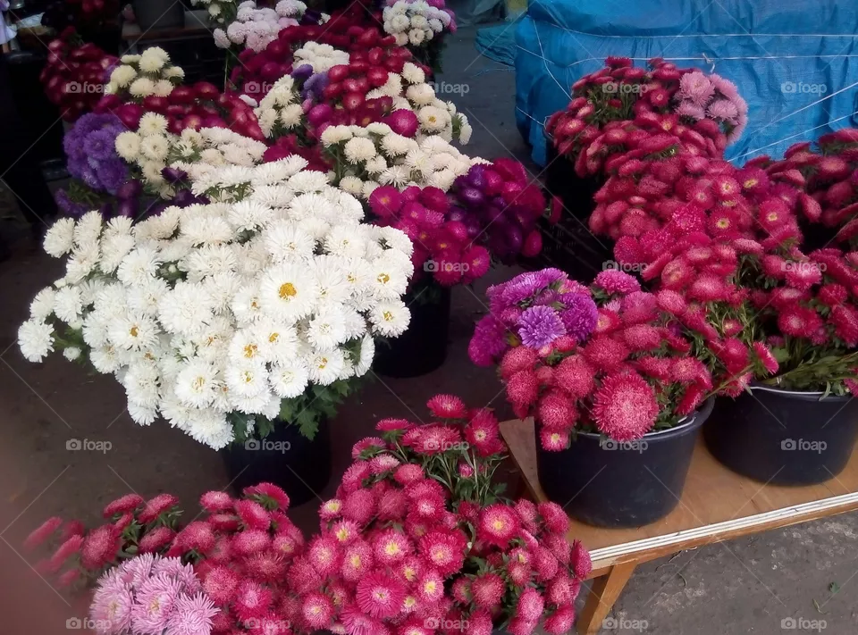 Продажа цветов