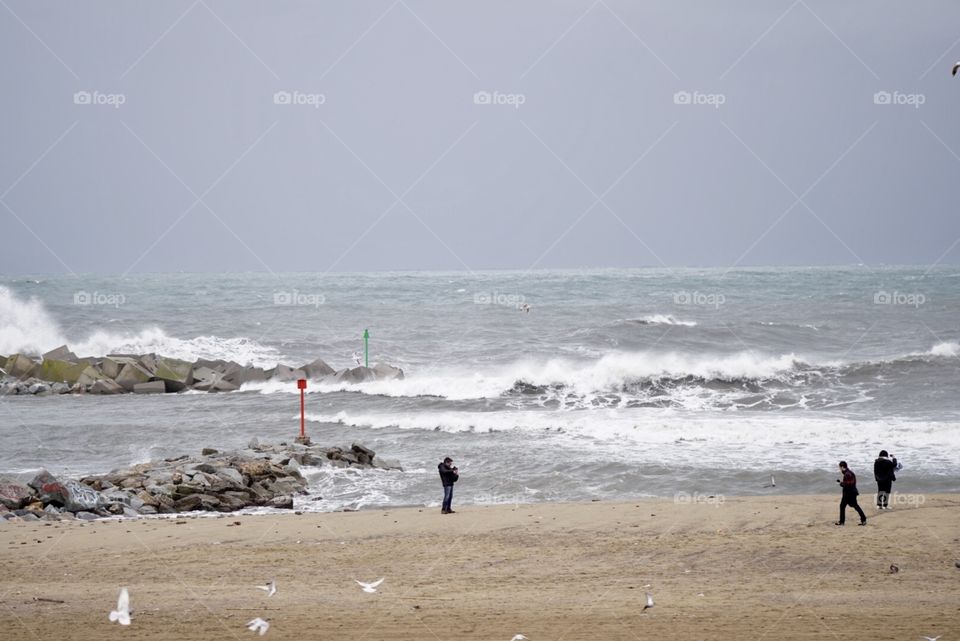 Mediterranean Winter