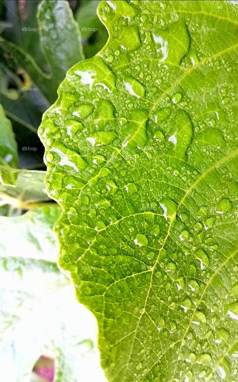 Hello
Please like my pictures and follow me
Thank you