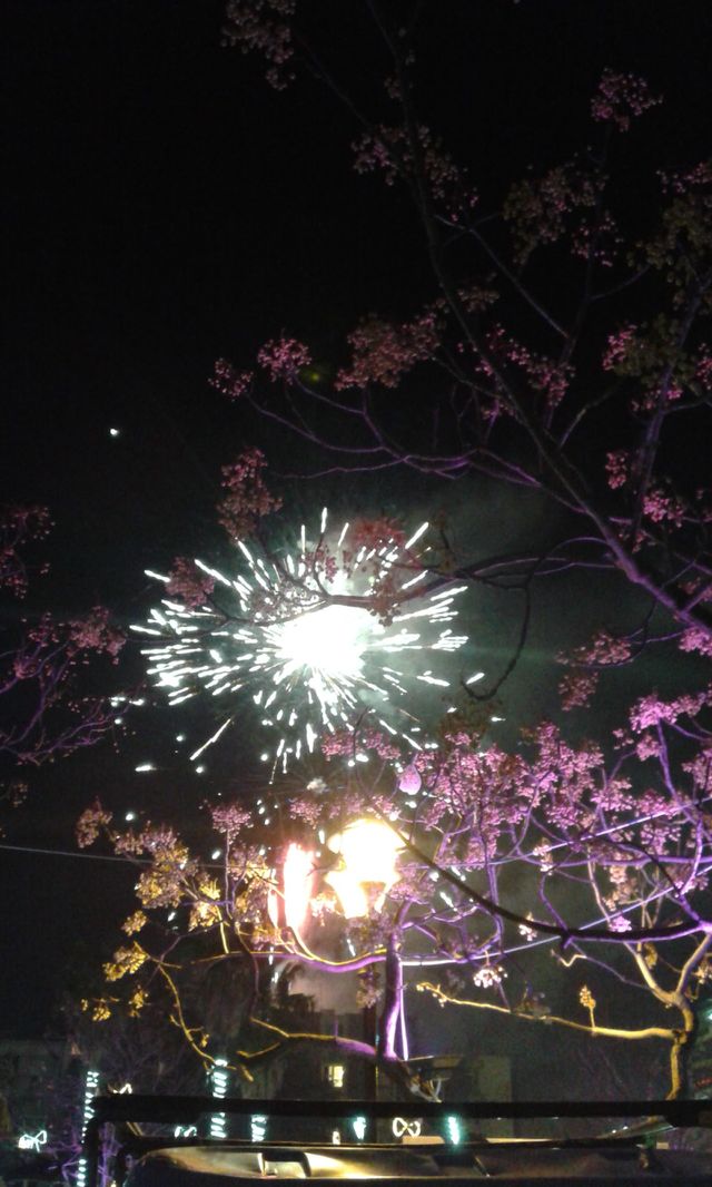 happy new year