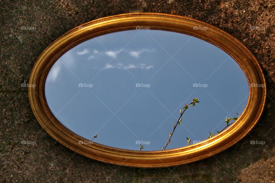 Reflection of a branch and blue sky with clouds in a golden mirror