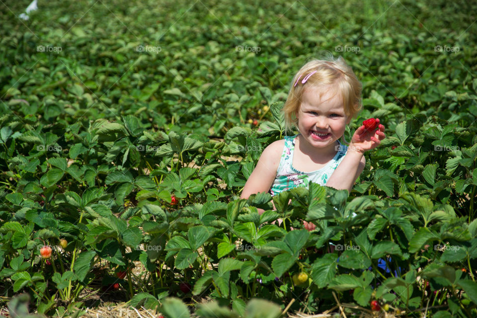 Happy little girl standing in strawberry field