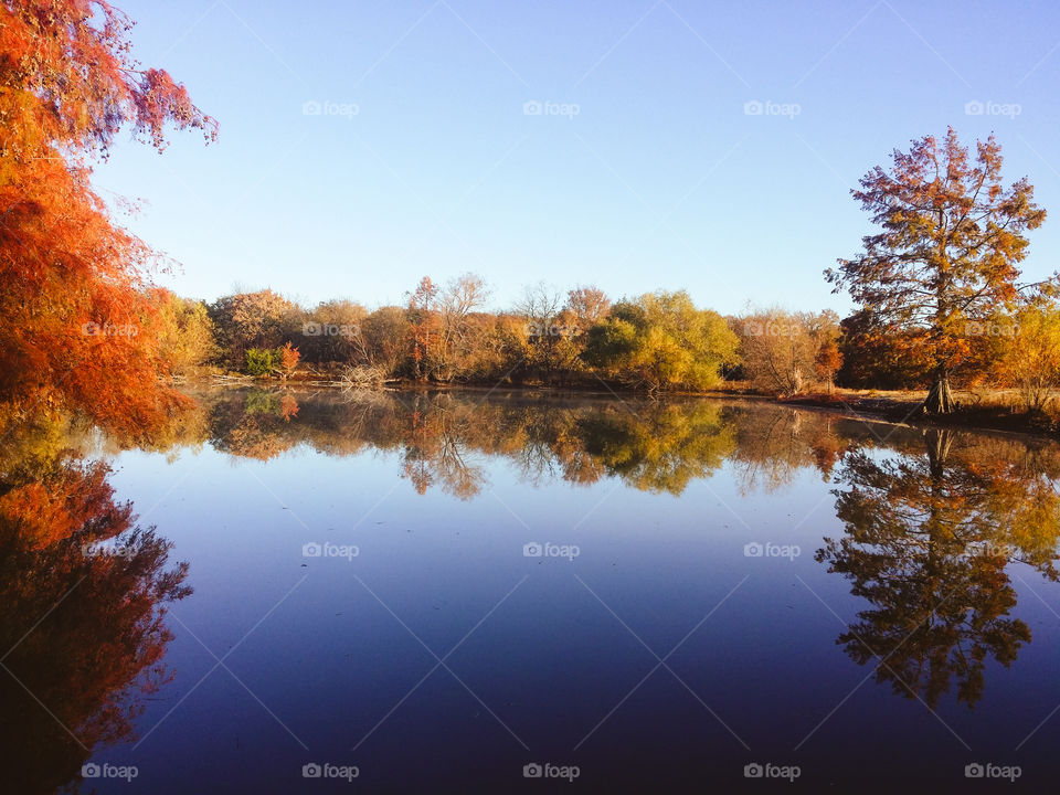 Reflection of autumn trees in lake