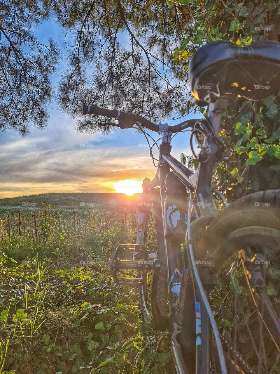 Sunset view with my bike
