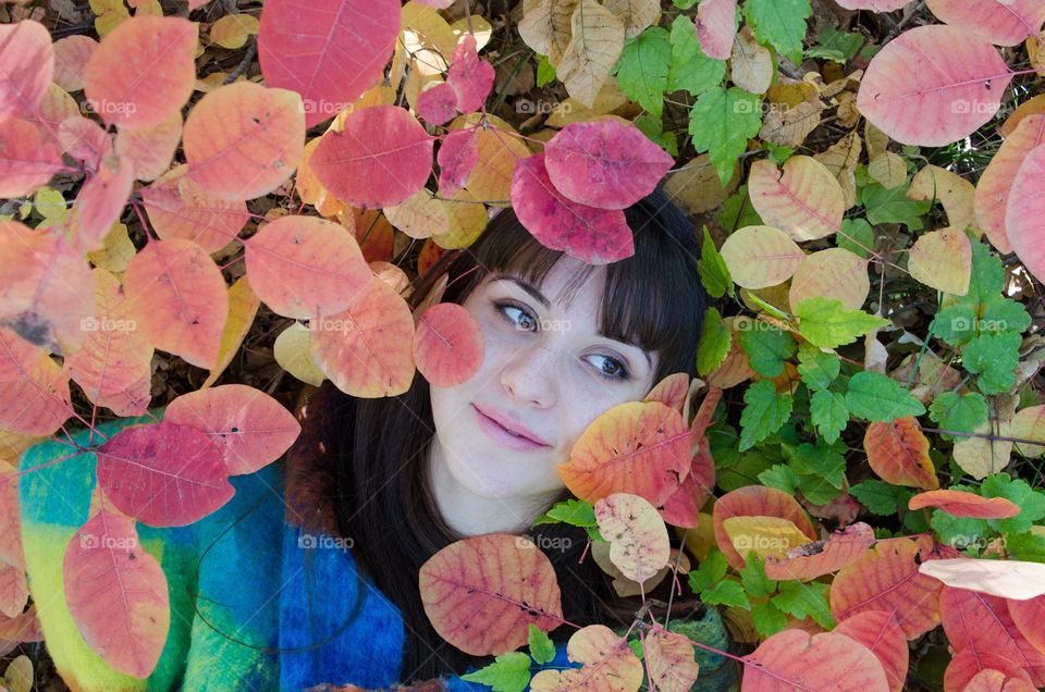 Portrait of a woman brunette on autumn background