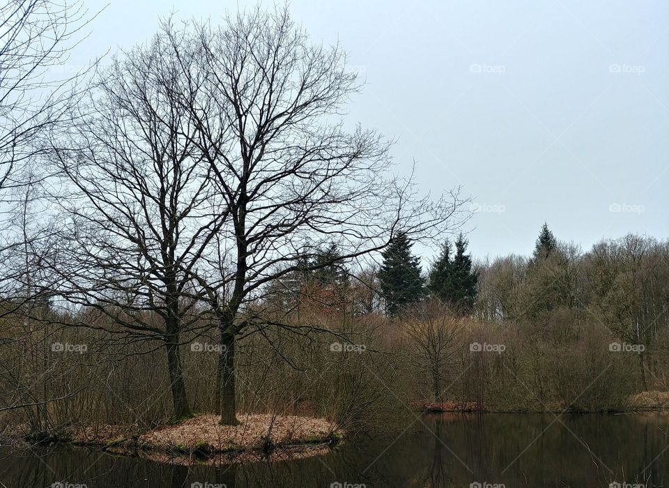 see lake water i insel tree Bäume