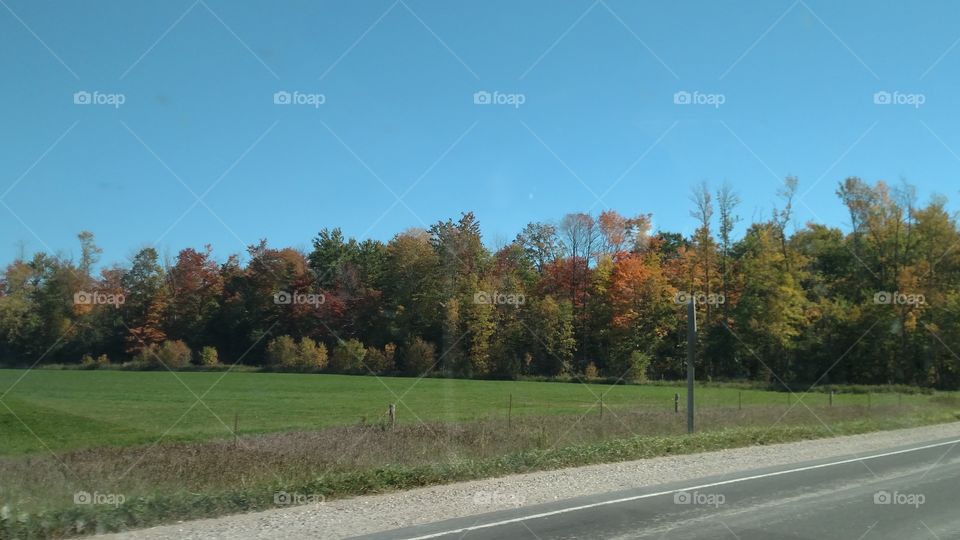 Landscape of Fall