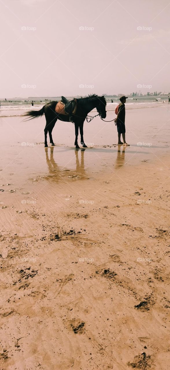 the man and the black horse near the beach.