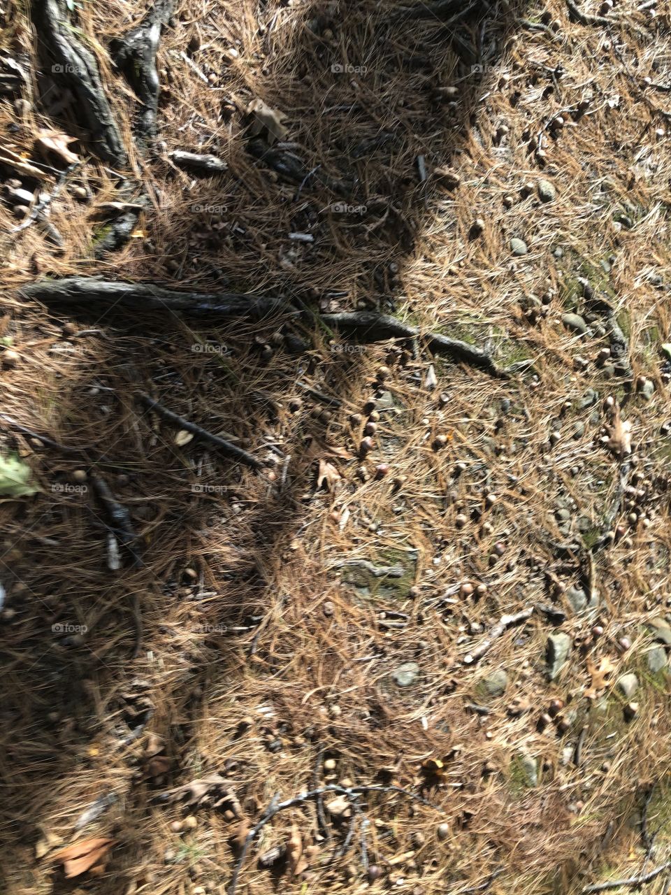 Falltime scenery in Connecticut