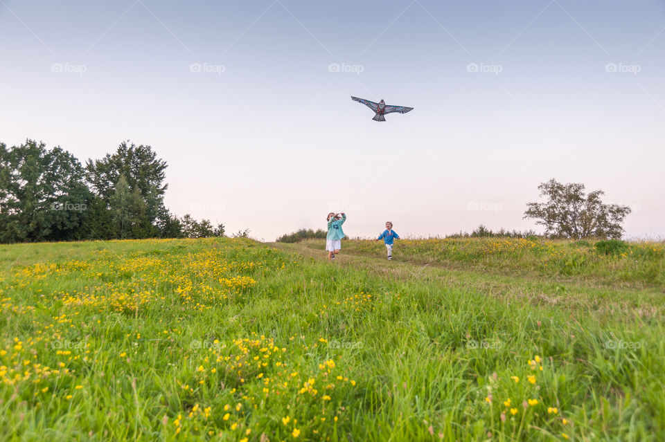 Children in countryside having fun while flying kite.