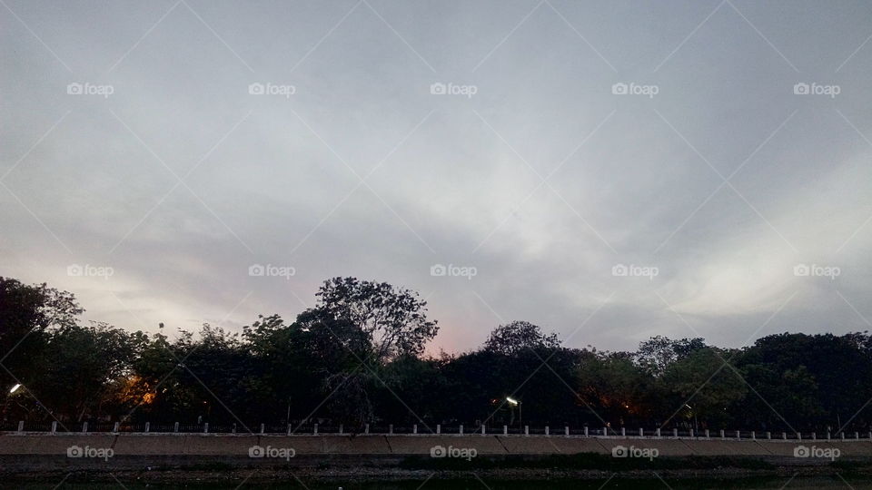 cloudy sky and trees