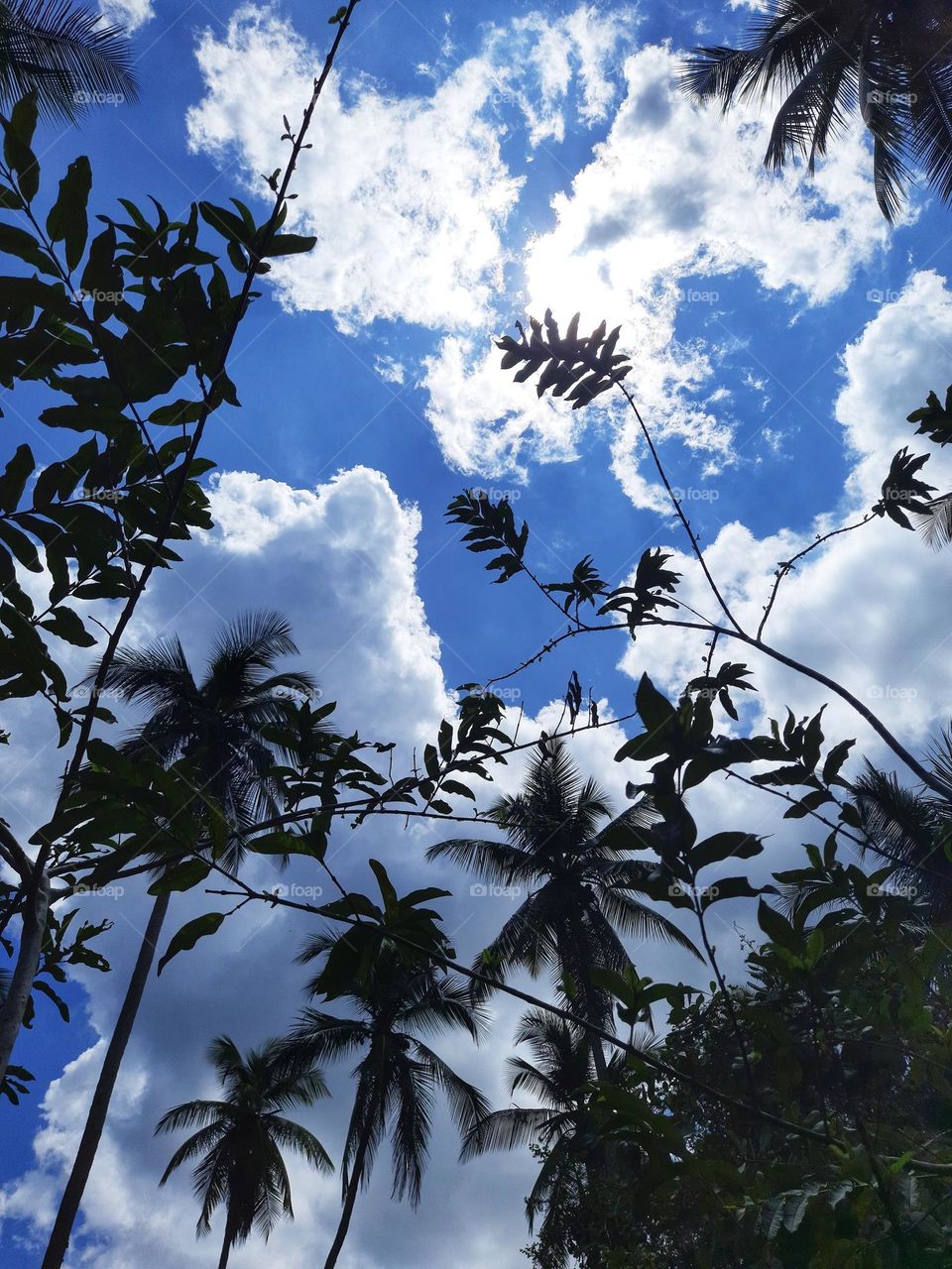 Beautiful rainy sky in the afternoon sri lanka.