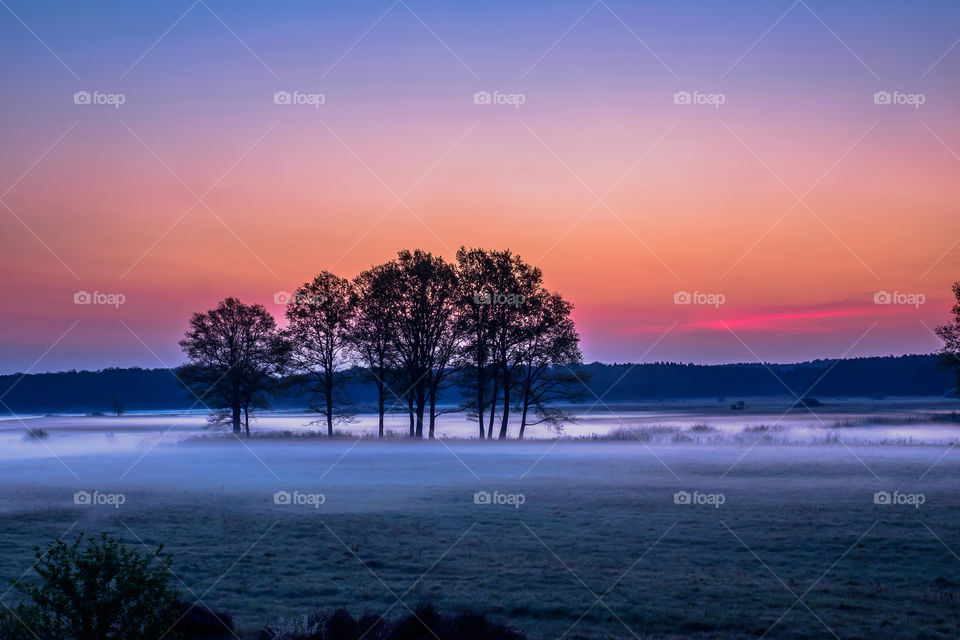 Most kolejowy na rzece Odra, Poland, Stany