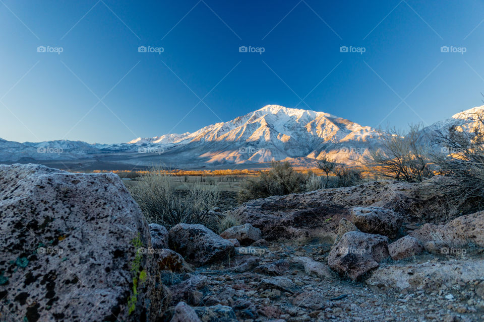 Eastern Sierra Nevada 2