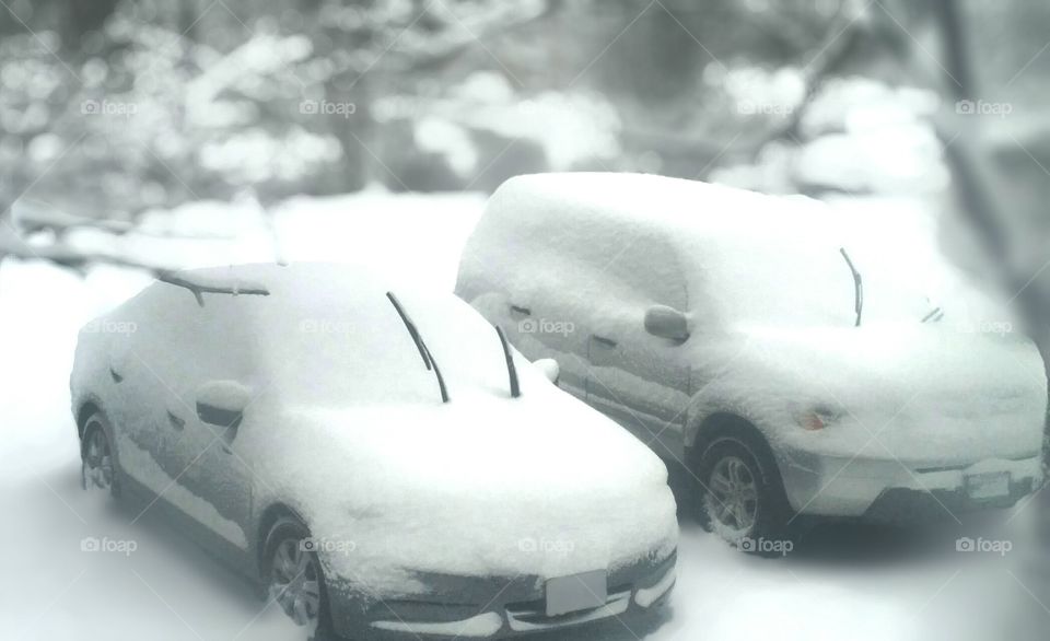 Cars covered with snow