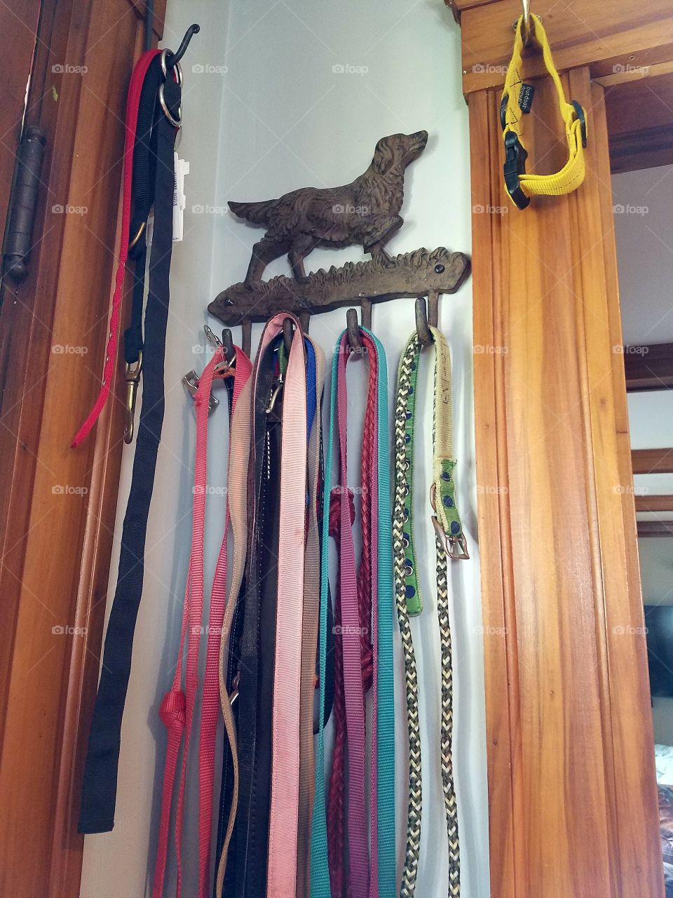 Old metal dog hooks for hanging leashes on, this one holds the many leashes needed for the dogs living in this home, all different colors & sized collars.