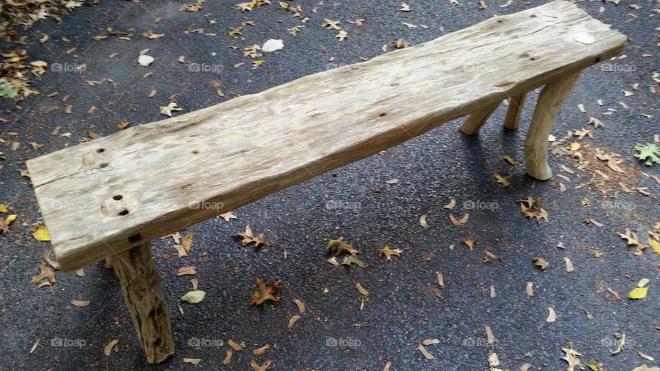 Driftwood Bench