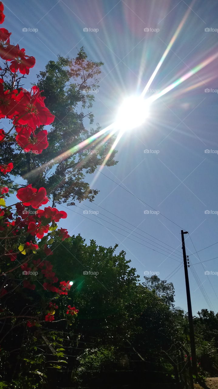 SUNBEAM heller Sonnenstrahl