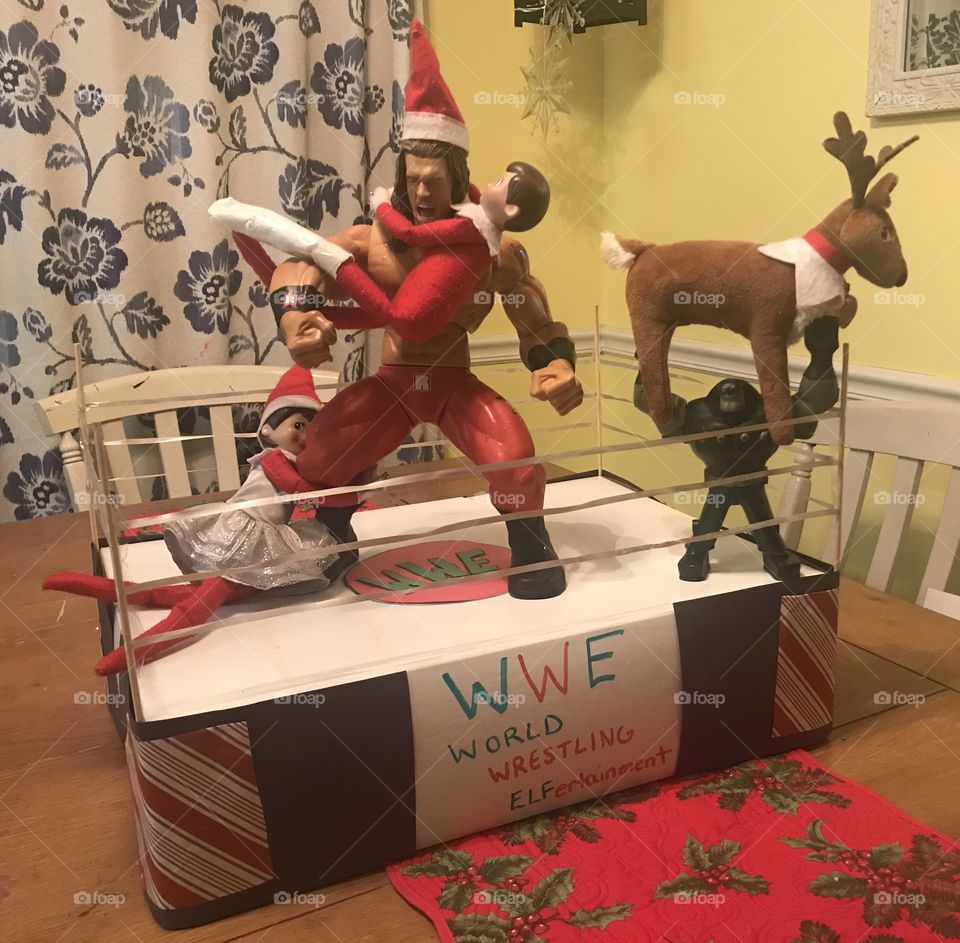 Our elves were wrestling in the Royal Rumble throw-down on the WWE during the night. 