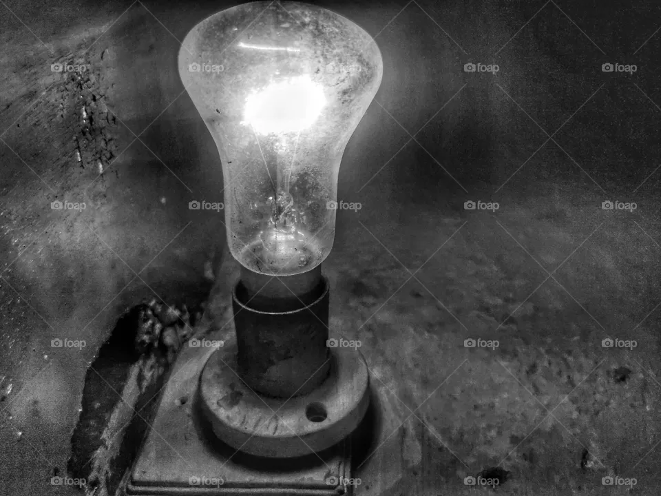 bulb