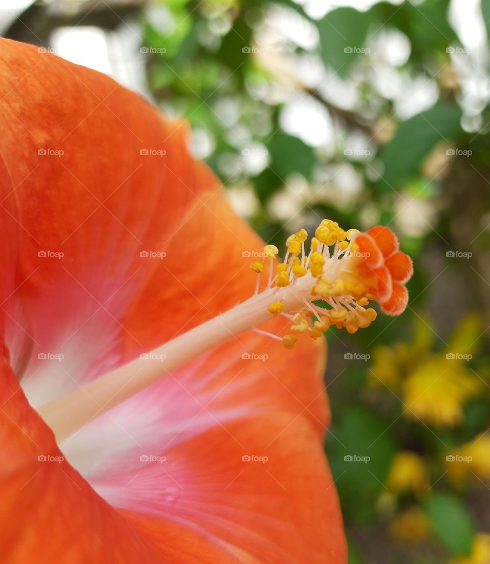 natural colour combination