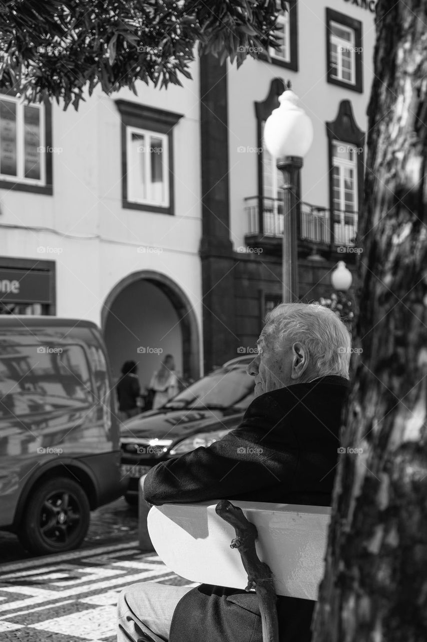 An elderly man sitting on an urban bench under a tree watches the street activity with cars and people passing by