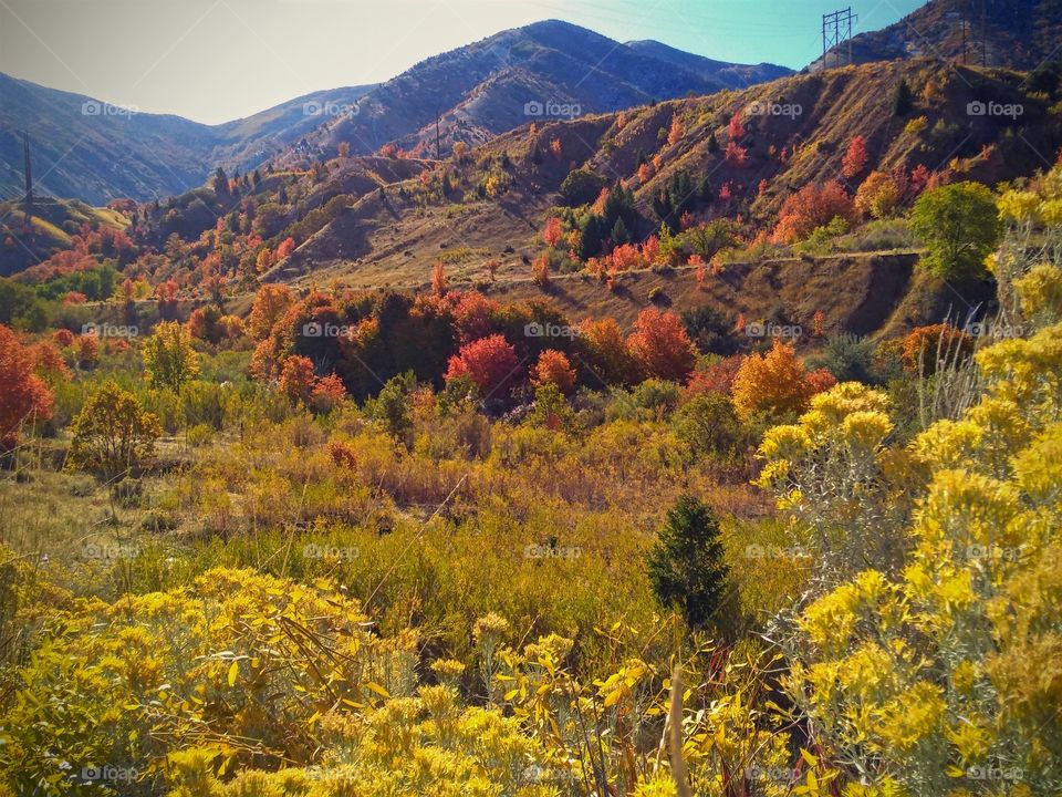 autumn colors on the oquirrh mountains