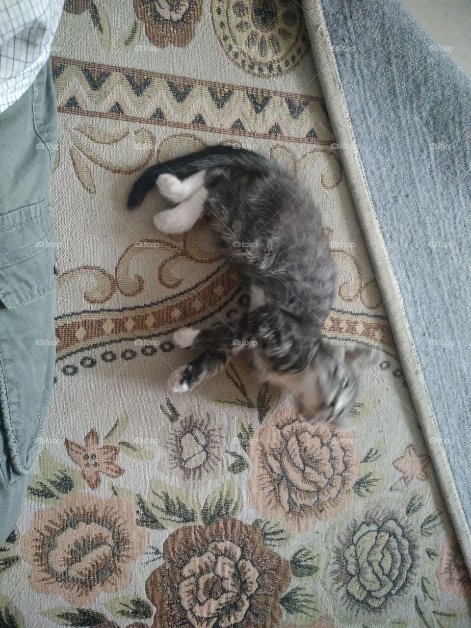 Art, Old, Animal, Desktop, Pattern